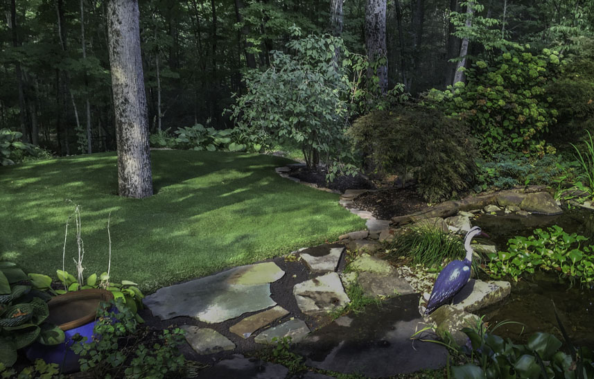 Artificial turf backyard leading into a New Jersey forest