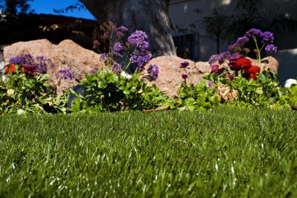 Artificial lawn lined by purple and red flowers in Bucks County