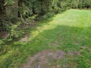 residential turf installations near me
