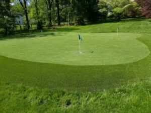putting green faux grass installers